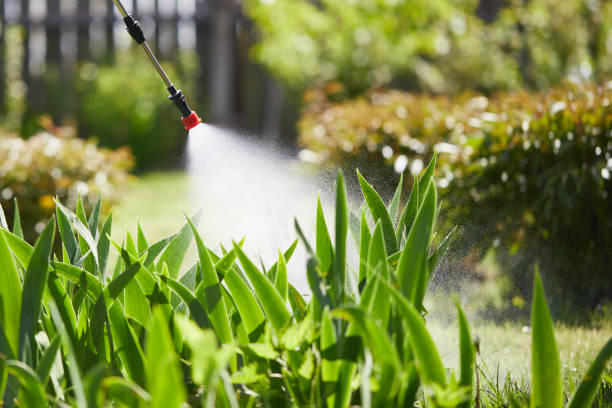 24/7 Emergency Mosquito Control experts in Monroe, WI